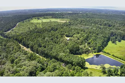 4883 Fm 2423, Grapeland, TX 75844 - Photo 3