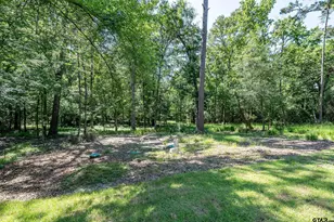 2133 E Holly Trail, Holly Lake Ranch, TX 75765 - Photo 31
