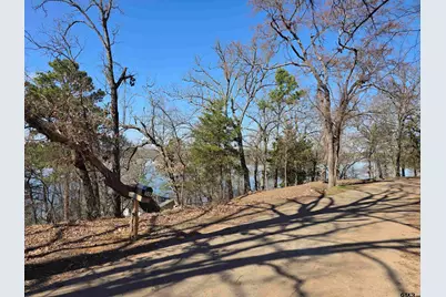 537 & 551 County Road 1418, Quitman, TX 75783 - Photo 11
