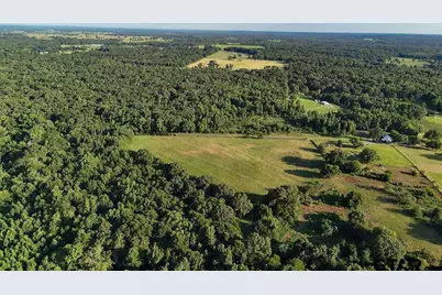 753 County Road 4390, Winnsboro, TX 75494 - Photo 7