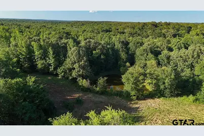 753 County Road 4390, Winnsboro, TX 75494 - Photo 5
