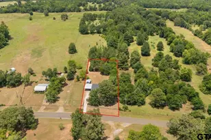 12255 County Rd 313 E, Tyler, TX 75708 - Photo 39