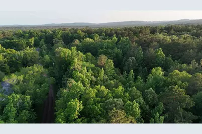 000A County Road 1204, Rusk, TX 75785 - Photo 3