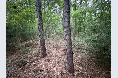 000A County Road 1204, Rusk, TX 75785 - Photo 11