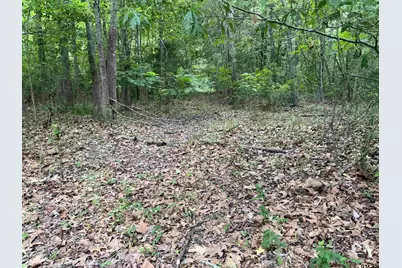 000A County Road 1204, Rusk, TX 75785 - Photo 5