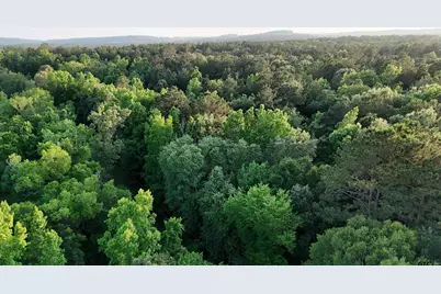 000A County Road 1204, Rusk, TX 75785 - Photo 13