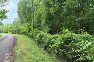 000A County Road 1204, Rusk, TX 75785 - Photo 1