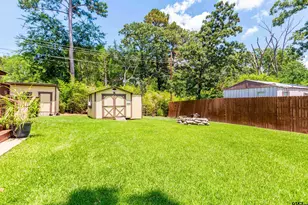 16964 Pine Trail Dr, Flint, TX 75762 - Photo 25