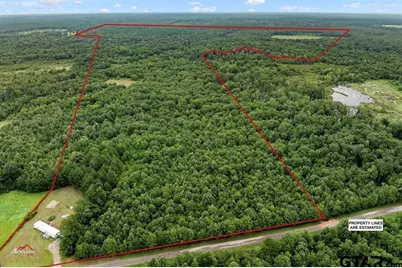 324 Ac Five Notch Rd, Marshall, TX 75670 - Photo 3