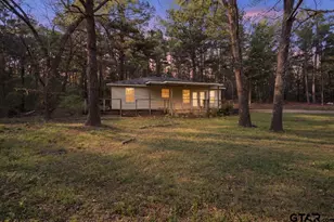13546 FM 3271, Tyler, TX 75704 - Photo 21