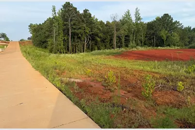 12335 Oak Grove Drive, Tyler, TX 75706 - Photo 11