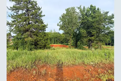 12335 Oak Grove Drive, Tyler, TX 75706 - Photo 3