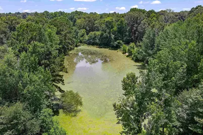 4610 N US Hwy 79, DeBerry, TX 75639 - Photo 35