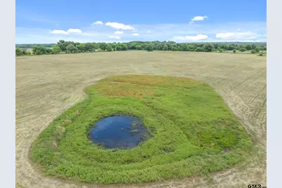 3300 Vz County Road 1903, Edgewood, TX 75117 - Photo 29