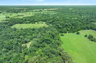 3300 Vz County Rd 1903, Edgewood, TX 75117 - Photo 19