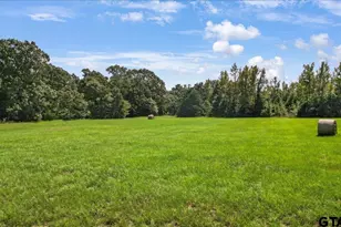 2027 Fm 779, Mineola, TX 75773 - Photo 47