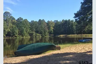 207 Pagosa Lane, Holly Lake Ranch, TX 75765 - Photo 29