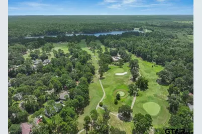 207 Pagosa Lane, Holly Lake Ranch, TX 75765 - Photo 33