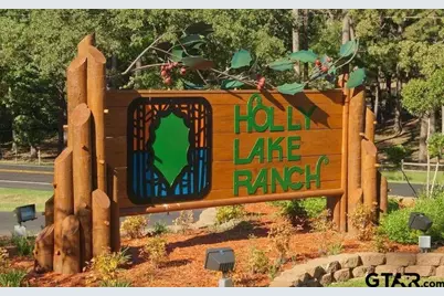 207 Pagosa Lane, Holly Lake Ranch, TX 75765 - Photo 21