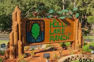 207 Pagosa Ln, Holly Lake Ranch, TX 75765 - Photo 21