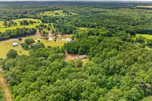 408 Cr 4810, Troup, TX 75789 - Photo 43