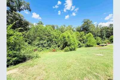 1104 Cambridge Bend, Tyler, TX 75703 - Photo 3