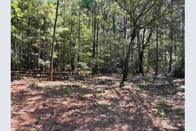 Lot 195 Green Meadow Trail, Holly Lake Ranch, TX 75765 - Photo 3