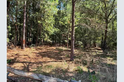 Lot 195 Green Meadow Trail, Holly Lake Ranch, TX 75765 - Photo 1