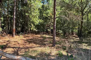 Lot 195 Green Meadow Trail, Holly Lake Ranch, TX 75765 - Photo 1