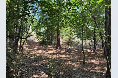 Lot 195 Green Meadow Trail, Holly Lake Ranch, TX 75765 - Photo 9
