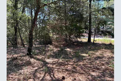 Lot 195 Green Meadow Trail, Holly Lake Ranch, TX 75765 - Photo 5