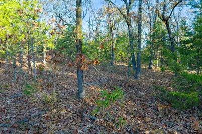 Tbd County Road 3105 - 5 Acres, Edgewood, TX 75117 - Photo 23