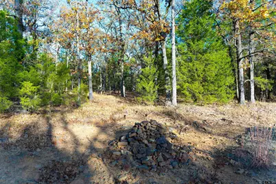 Tbd County Road 3105 - 5 Acres, Edgewood, TX 75117 - Photo 29