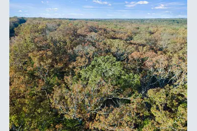 Tbd County Road 3105 - 5 Acres, Edgewood, TX 75117 - Photo 19
