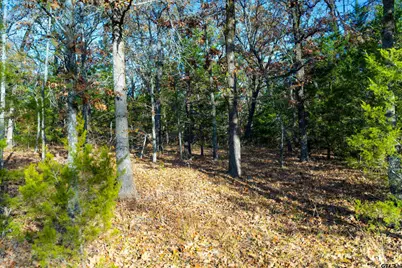 Tbd County Road 3105 - 5 Acres, Edgewood, TX 75117 - Photo 27