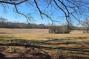 Tbd County Road 1106, Flint, TX 75762 - Photo 1