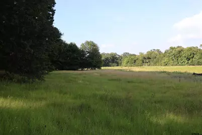 Tbd County Road 1100, Flint, TX 75762 - Photo 5