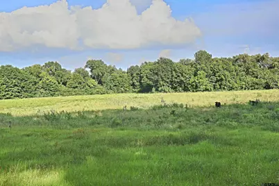Tbd County Road 1100, Flint, TX 75762 - Photo 9