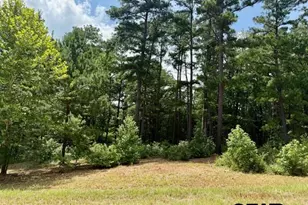 16203 County Rd 436, Lindale, TX 75771 - Photo 1