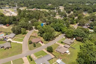 106 E Archer Dr, White Oak, TX 75693 - Photo 41