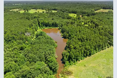 22315 County Road 2110, Troup, TX 75789 - Photo 17
