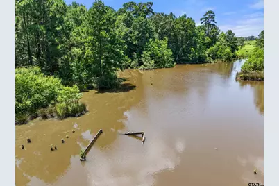 22315 County Road 2110, Troup, TX 75789 - Photo 5