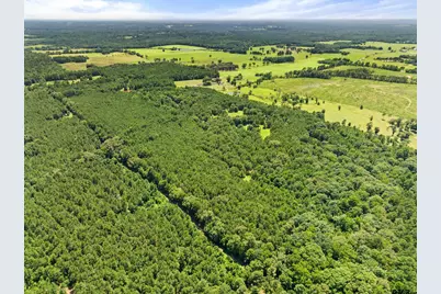 22315 County Road 2110, Troup, TX 75789 - Photo 13