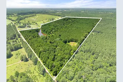 22315 County Road 2110, Troup, TX 75789 - Photo 21