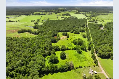 22356 County Road 2110, Troup, TX 75789 - Photo 7