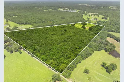 22356 County Road 2110, Troup, TX 75789 - Photo 3