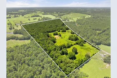 22356 County Road 2110, Troup, TX 75789 - Photo 5