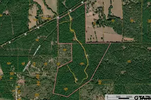 Tbd E Hwy 84, Rusk, TX 75785 - Photo 1
