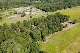 497 Co Rd 3954, Mineola, TX 75773 - Photo 5