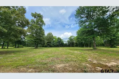 151 Bluewood Rd, Big Sandy, TX 75755 - Photo 21